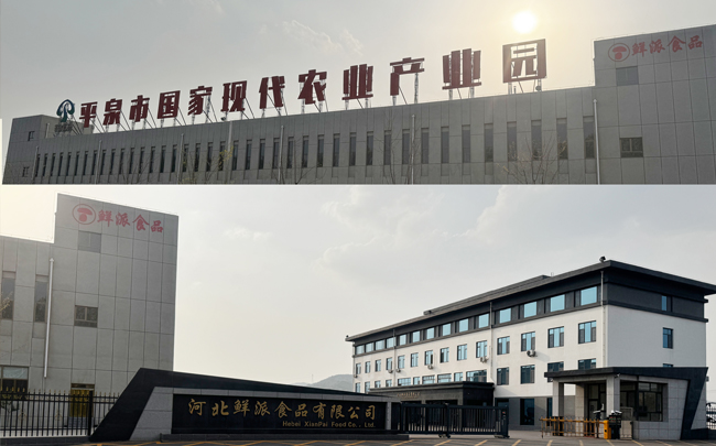 鲜切脆薯条经典案例：河北鲜派生产线现场